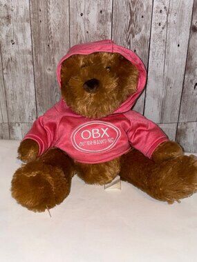 OBX Outer Banks NC Brown Plush Teddy Bear Pink Hoodie RBI 12" Stuffed Animal